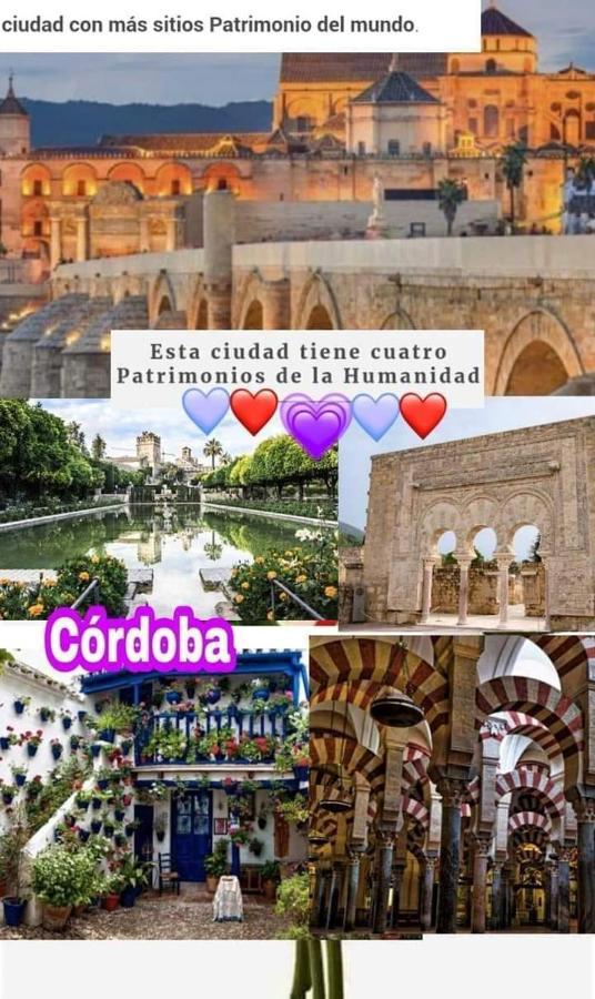 Grupo Limcotel El Paseito De Concha-Mesquita-Parking Kordoba Bagian luar foto